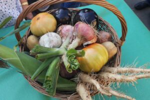 La Gara degli Orti a Montignoso