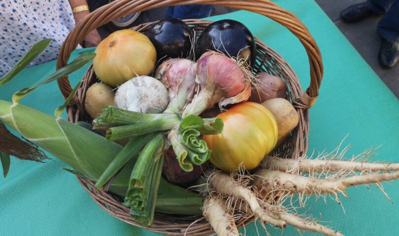 La Gara degli Orti a Montignoso