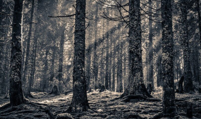 Una misteriosa scomparsa