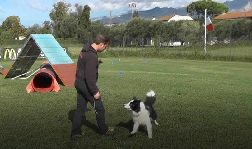 Luca Bartelloni e Greg, campioni italiani di Obedience