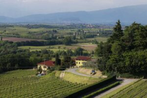 Cantine di Custoza,Verona