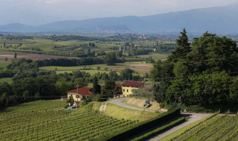 Cantine di Custoza,Verona