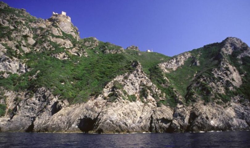 Isola della Gorgona
