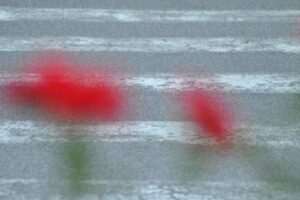 Isabella Ghilarducci, fotografa